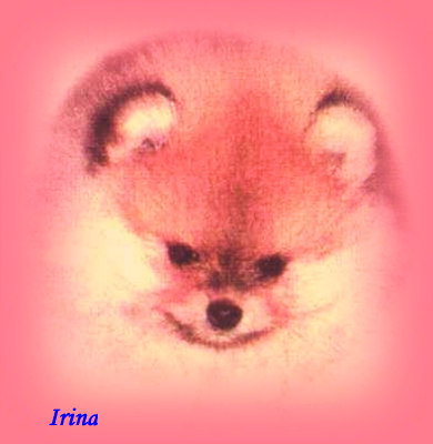 CH. tito poms Irina witness